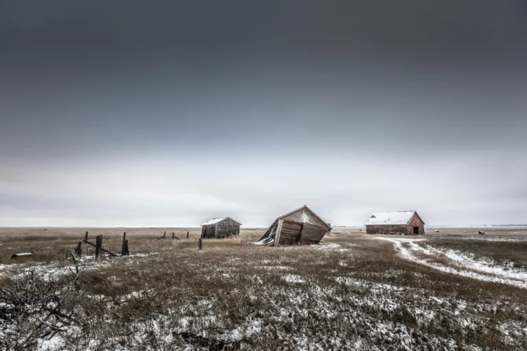 Galerie Wallpepper Photographie d art - ©Max Colemann